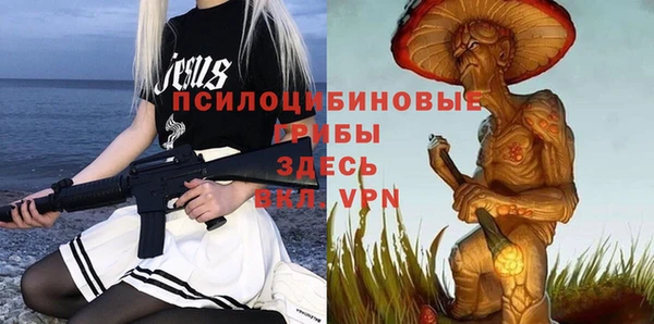 apvp Пересвет