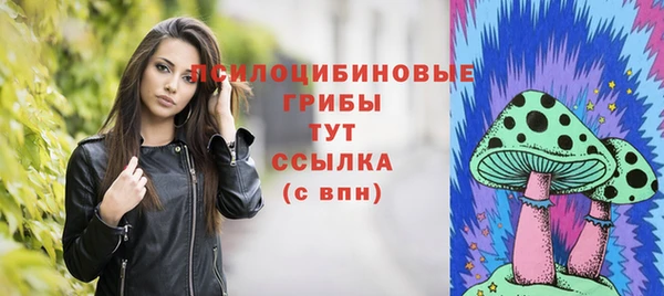 Альфа ПВП Абаза