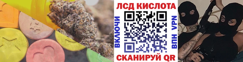 дарнет шоп  Торжок  ЛСД экстази кислота 
